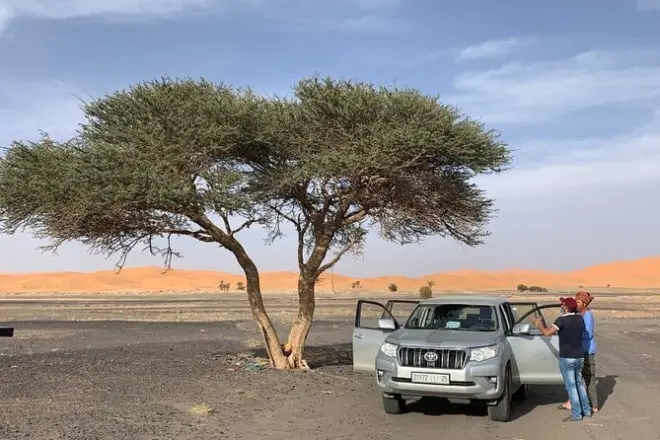 Errachidia to Merzouga Desert 2-Day Camel Trek & Camp