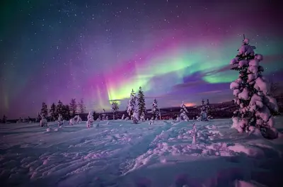 Raquettes nocturnes sous les aurores boréales à Rovaniemi