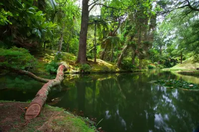 Tour di un giorno a Furnas con sorgenti termali e piantagione di tè