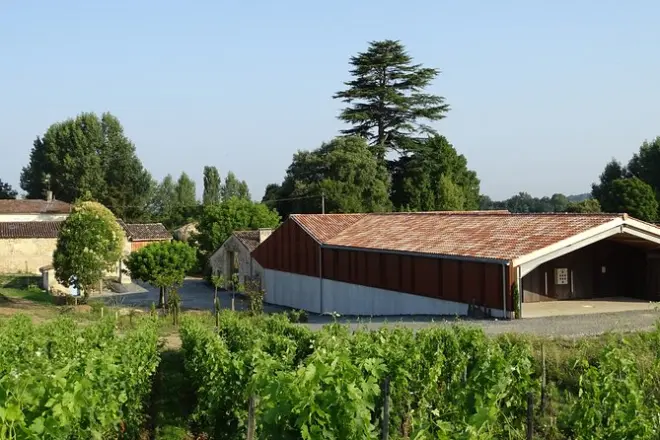 Dégustation au Château Rol Valentin dans le vignoble de Saint-Emilion