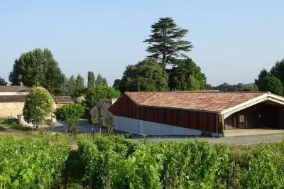 Dégustation au Château Rol Valentin dans le vignoble de Saint-Emilion
