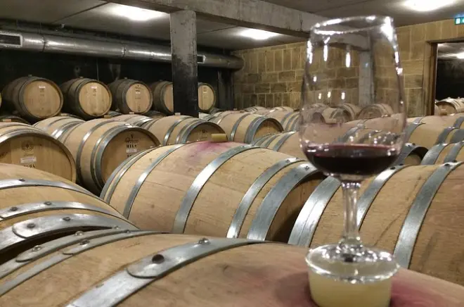 Côtes du Rhône Wine Tour from Lyon: 3 wineries, 16 wines