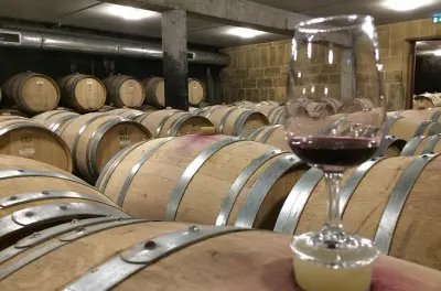 Côtes du Rhône Weinverkostung ab Lyon: 3 Weingüter, 16 Weine