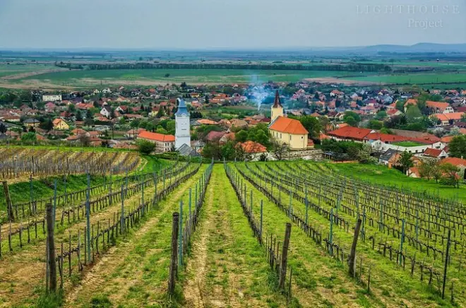 Tokaj saindo de Budapeste: 2 vinícolas e até 12 degustações