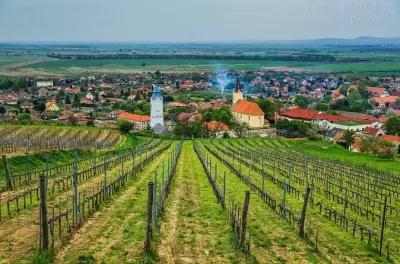Tokaj Wine Tour from Budapest: 2 Wineries, 10-12 Tastings