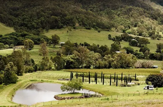 Mount Tamborine Winery Tour: Tastings & Lunch