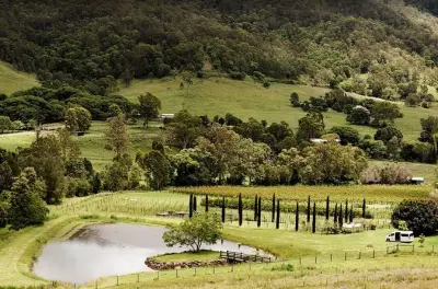 Mount Tamborine Winery Tour: Tastings & Lunch