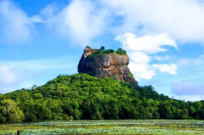 Safari privé à Minneriya, Sigiriya et Dambulla depuis Colombo
