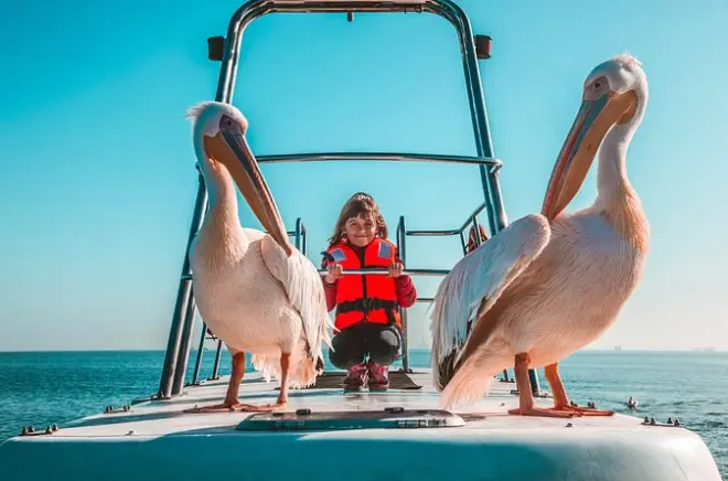 Crociera a Walvis Bay: Pelican Point con ostriche e vino