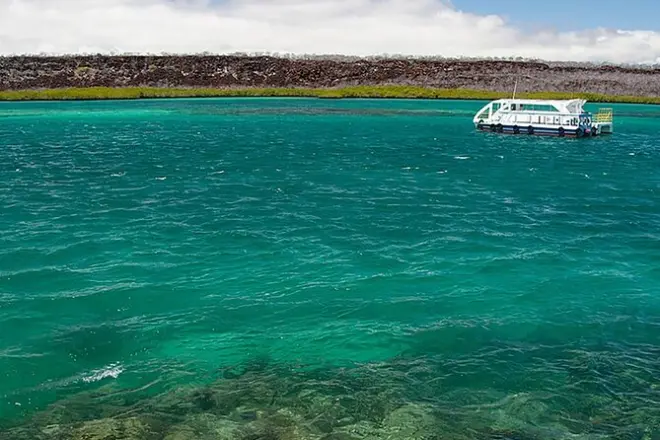 Faune des Galápagos à San Cristobal : Otaries et tortues géantes