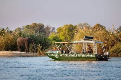 Zambezi River Safari in Livingstone: Hippos, elephants, birds