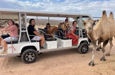 Safari in tram e visita guidata allo zoo con oltre 30 cammelli