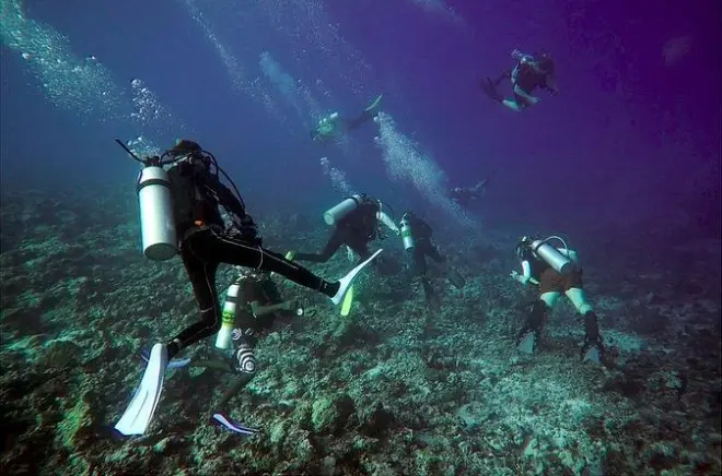 Scuba Diving & Snorkeling: Daymaniyat Islands from Muscat