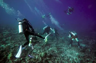 Buceo y snorkel en islas Daymaniyat desde Mascate