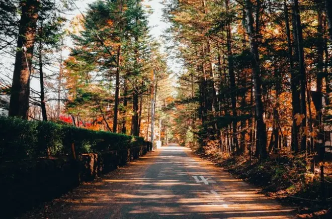 Tour privato di un giorno a Karuizawa da Tokyo con auto e guida