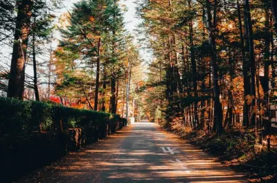 Full-Day Karuizawa Tour from Tokyo: Private Car & Guide
