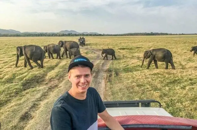 Minneriya Nationalpark Safari ab Dambulla: Wilde Elefanten