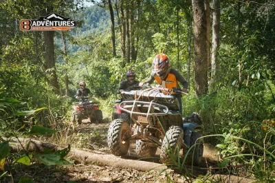 Vivi l’emozione di guidare un quad tra i sentieri della giungla di chiang mai, con attrezzatura completa, pickup dall’hotel e pranzo locale incluso. perfetto per principianti e amanti dell’avven