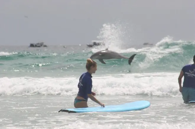 Surfe na Gold Coast com passeio de 7 horas e parada em Fingal Head