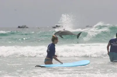 Surfen lernen an der Gold Coast: 7 Stunden mit Fingal Head
