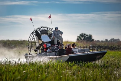 Feel the wind on a 30-minute airboat ride in the florida everglades, search for gems, meet alligators, and enjoy lakeside bbq lunch. includes park admission.