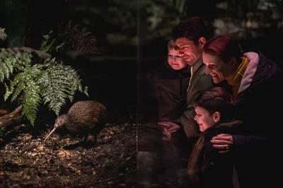 See real kiwi birds up close at queenstown’s kiwi park, catch the conservation show, and stroll peaceful native bush trails—all with flexible entry times included.