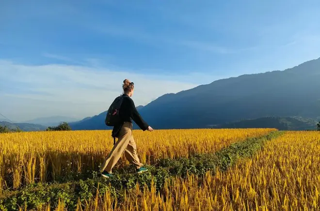 Mu Cang Chai trek privé : Rizières avec guide H'mong