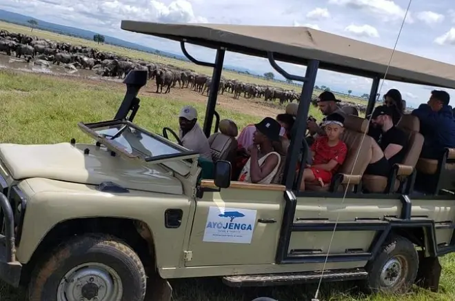 Safari privato di un giorno al parco nazionale di Mikumi con pranzo