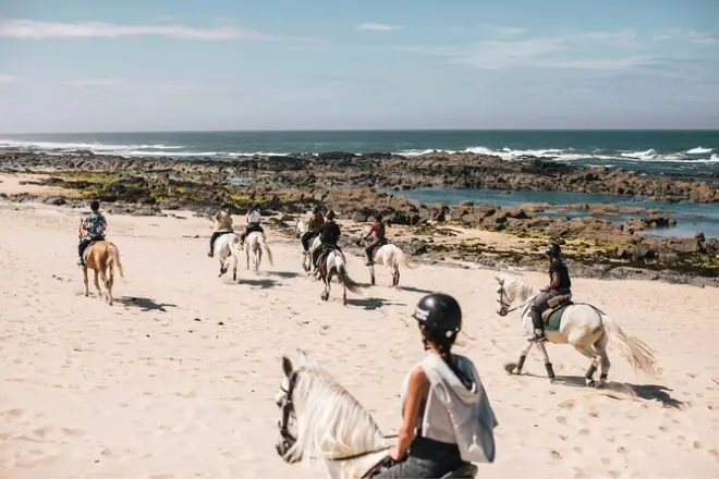 Équitation à Viana do Castelo : Fleurs, sentiers et plages