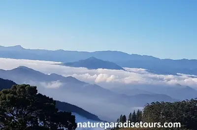 Knuckles 2 dias: Trekking na montanha e estadia em vila em Kandy