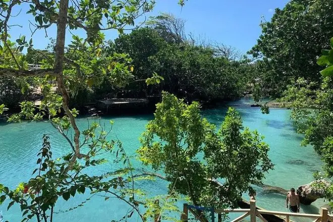 Port Vila journée complète : Blue Lagoon, tortues et cascades