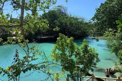 Port Vila journée complète : Blue Lagoon, tortues et cascades