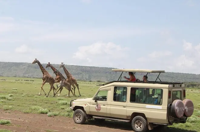 Safari 6 jours au Serengeti depuis Arusha : Faune et cascades