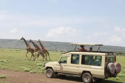 Safari 6 jours au Serengeti depuis Arusha : Faune et cascades