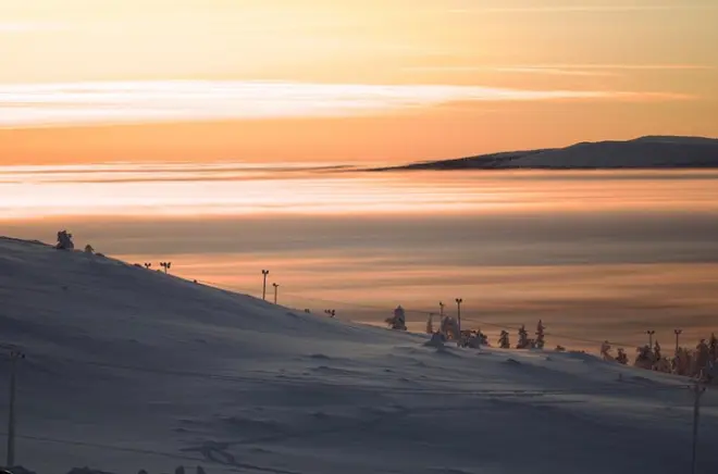Levi Snowshoe Tour: Guided Winter Walk Through Lapland