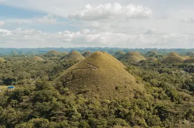 Bohol Tagesausflug: Chocolate Hills, Tarsier & Loboc-Fluss