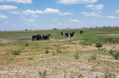 Chobe National Park Safari: Elephants & River Cruise