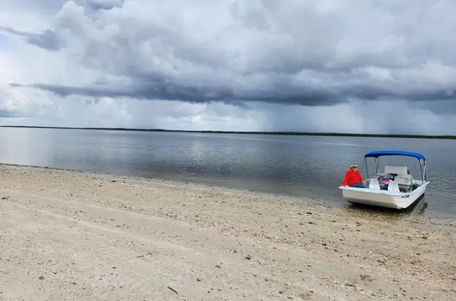 10,000 Islands Boat Tour + Everglades Walk: Wildlife & History