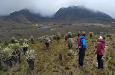 Sumapaz páramo: Caminata de alta montaña en los Andes