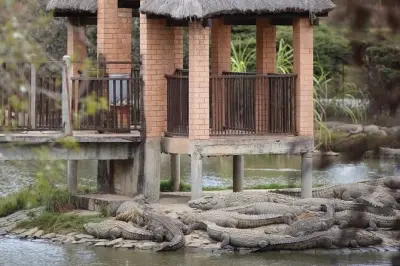 Madagascar Day Tour: Lemurs Park and Croc Farm from Antananarivo