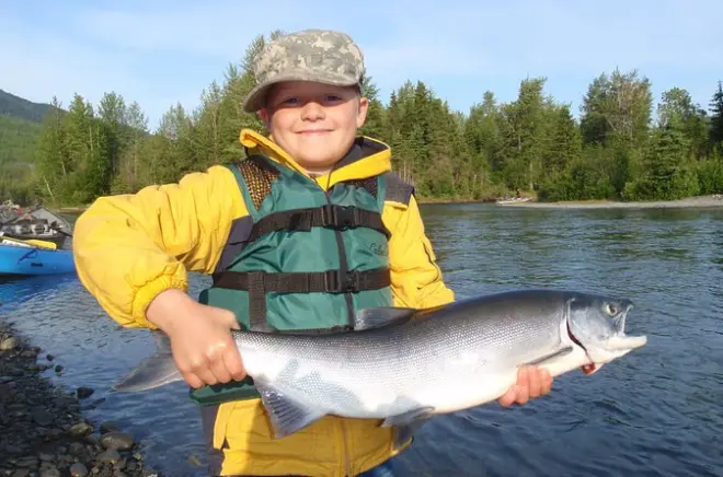 Upper Kenai River Guided Fishing Trip: 8-Hour Private Boat