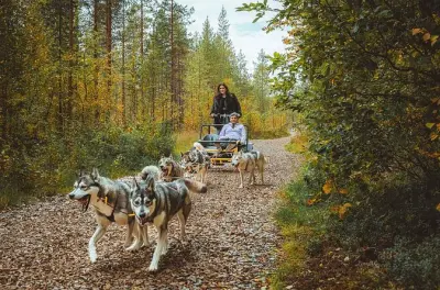 Passeio de huskies em Rovaniemi no outono: Conduza seu time