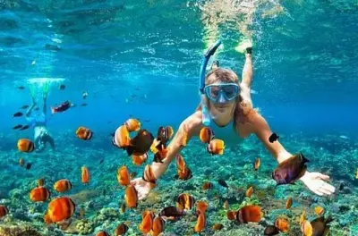 Schnorcheln in Montego Bay und Shopping auf dem Hip Strip