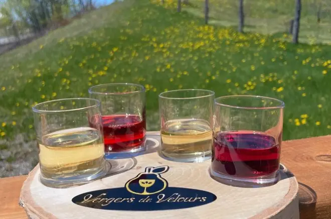 Lac-St-Jean fruit spirit tasting with audio tour