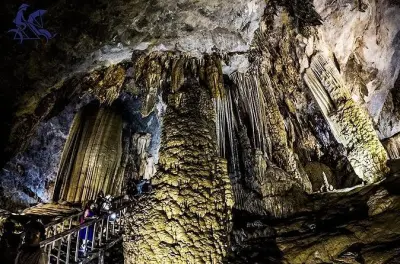 Paradise Cave & Phong Nha Cave tour from Dong Hoi: Private guide