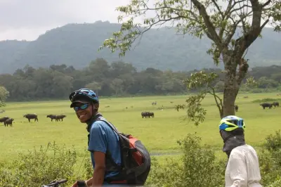 Safari 4 jours en Tanzanie : Serengeti, Ngorongoro et Tarangire