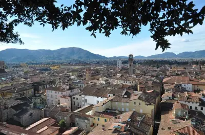 Pisa and Lucca tour from Livorno: Private Mercedes minivan