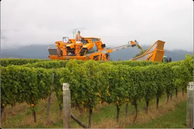 Degustazione vini Marlborough da Picton: Piccolo gruppo, tutto incluso