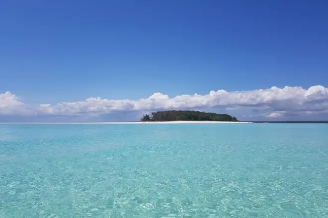 Snorkeling en Tanzanie : Dauphins, tortues et récifs coralliens