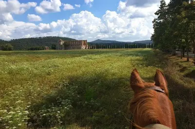 Horseback riding in San Gimignano: Full-day Maremma trail ride